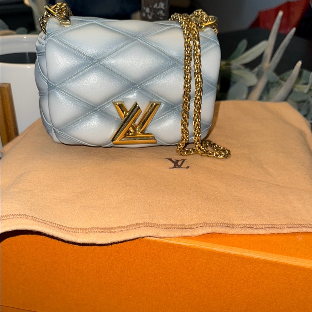 Louis Vuitton Pico Go 14